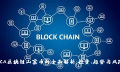 ICA区块链山寨币的全面解析：投资、趋势与风险