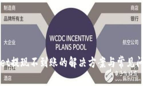 TPWallet提现不到账的解决方案与常见问题解析