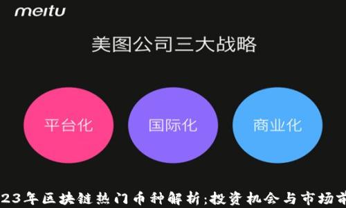 
2023年区块链热门币种解析：投资机会与市场前景