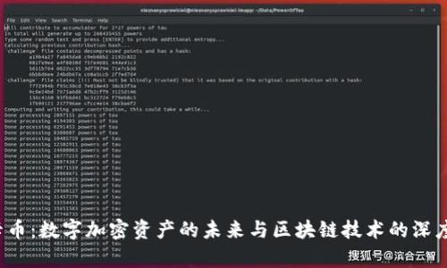 维卡币：数字加密资产的未来与区块链技术的深度解析
