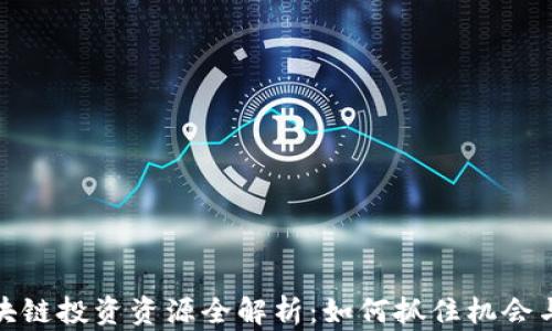 
比特币区块链投资资源全解析：如何抓住机会与规避风险