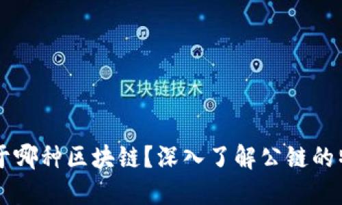 比特币属于哪种区块链？深入了解公链的特性与应用