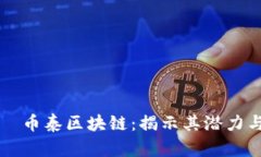 дзяти币泰区块链：揭示其潜力与应用前景