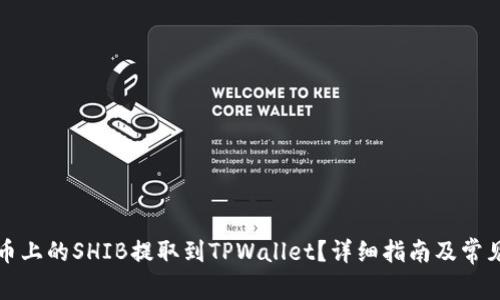 如何将火币上的SHIB提取到TPWallet？详细指南及常见问题解答