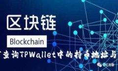 如何查询TPWallet中的持币地