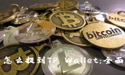 屎币怎么提到TP Wallet：全面指南