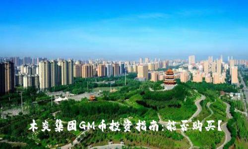 木炎集团GM币投资指南：能否购买？