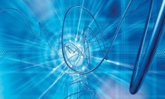 TPWallet与麦子全面对比：哪